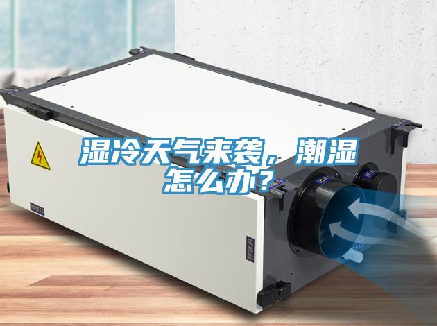 湿冷天气来袭，潮湿怎么办？