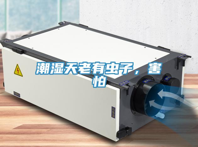 潮湿天老有虫子，害怕