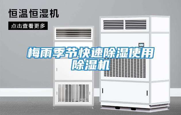 梅雨季节快速除湿使用猫咪成人官网