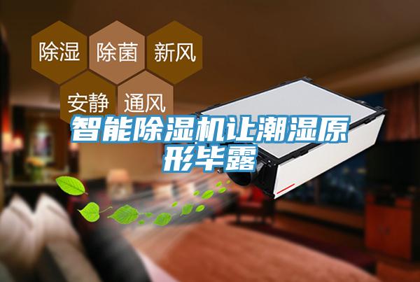 智能猫咪成人官网让潮湿原形毕露