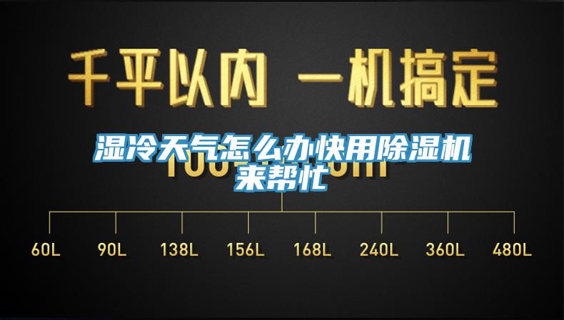 湿冷天气怎么办快用猫咪成人官网来帮忙