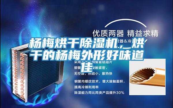 杨梅烘干猫咪成人官网，烘干的杨梅外形好味道佳