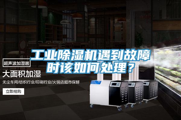 工业猫咪成人官网遇到故障时该如何处理？