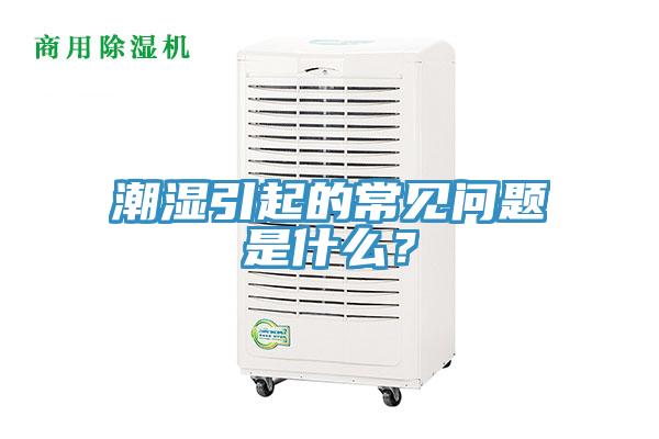 潮湿引起的常见问题是什么？