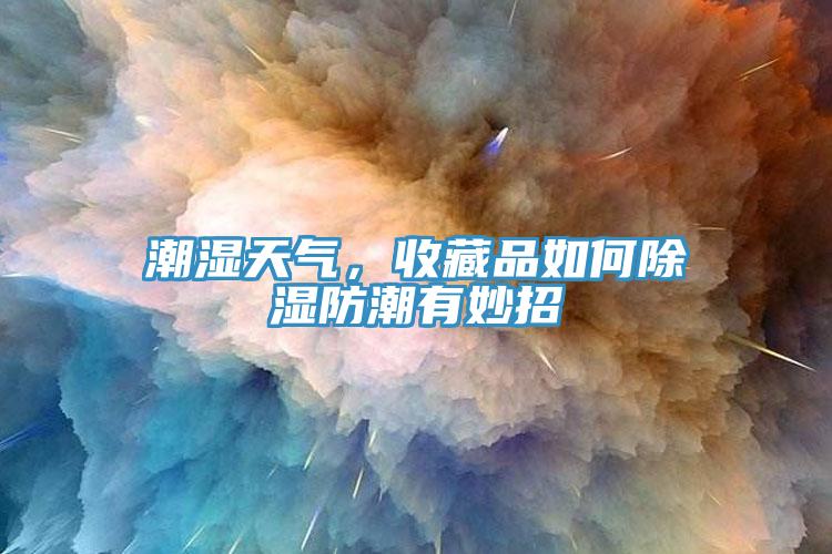 潮湿天气，收藏品如何除湿防潮有妙招