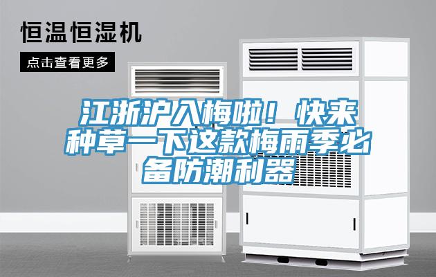 江浙沪入梅啦！快来种草一下这款梅雨季必备防潮利器