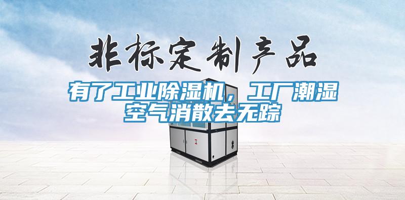 有了工业猫咪成人官网，工厂潮湿空气消散去无踪
