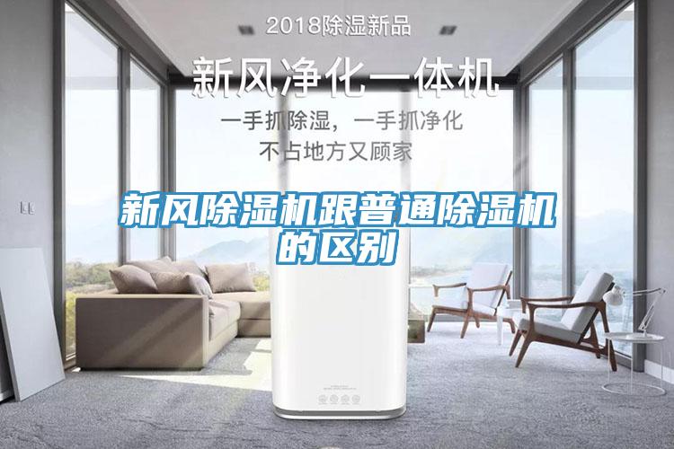 新风猫咪成人官网跟普通猫咪成人官网的区别