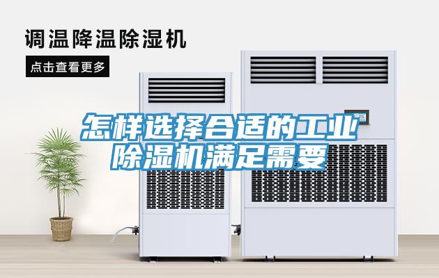 怎样选择合适的工业猫咪成人官网满足需要