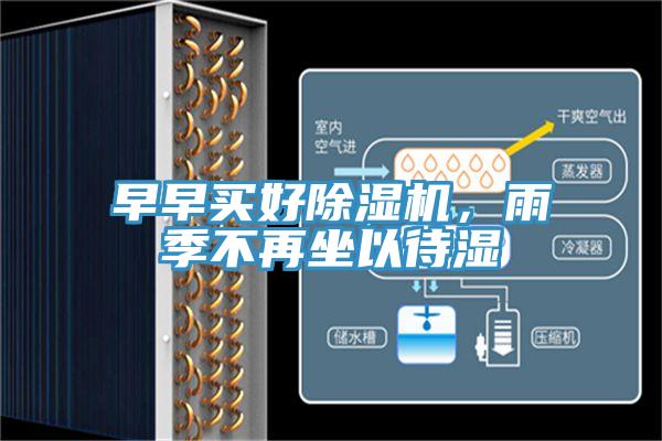早早买好猫咪成人官网，雨季不再坐以待湿