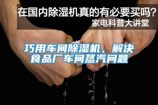 巧用车间猫咪成人官网，解决食品厂车间蒸汽问题