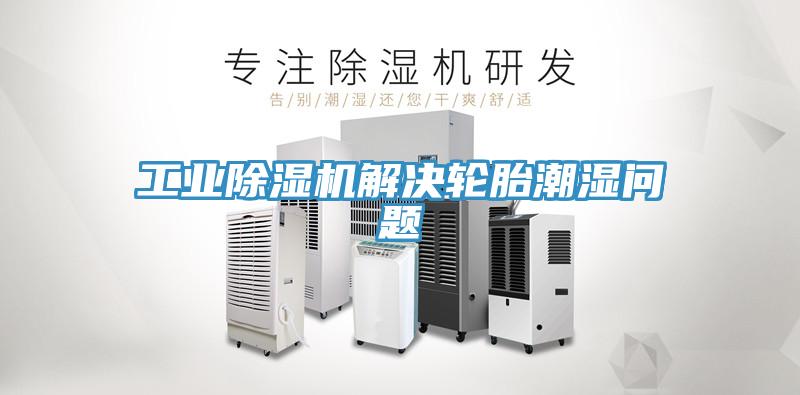 工业猫咪成人官网解决轮胎潮湿问题