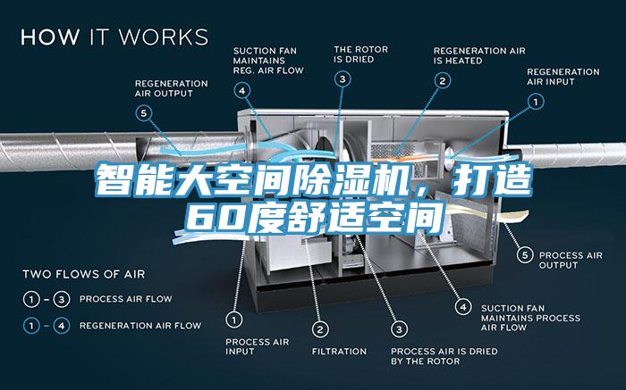 智能大空间猫咪成人官网，打造60度舒适空间