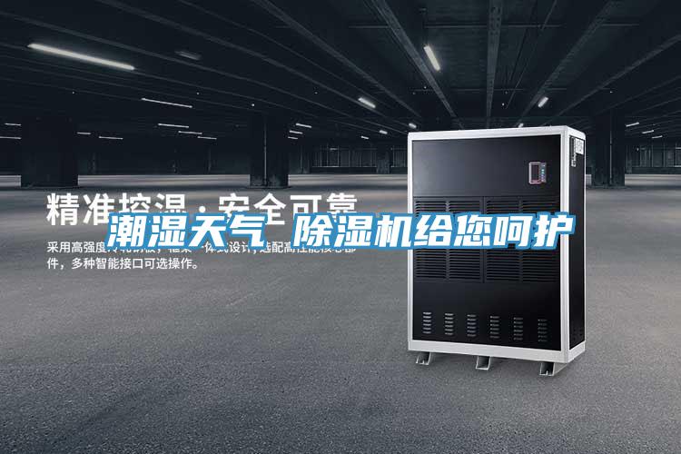 潮湿天气 猫咪成人官网给您呵护