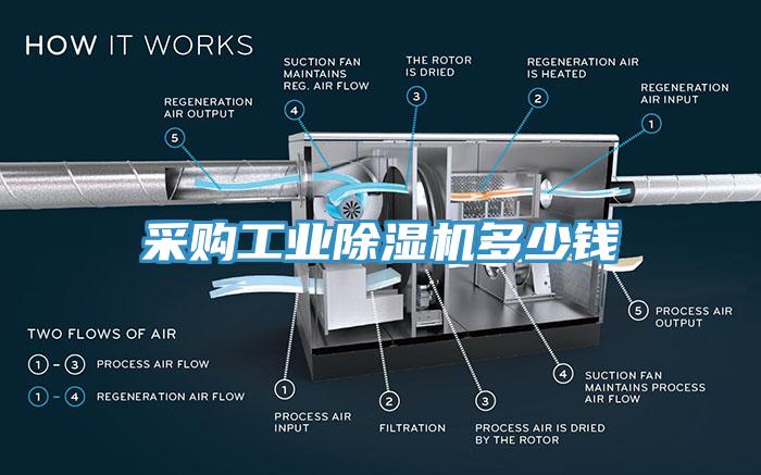 采购工业猫咪成人官网多少钱