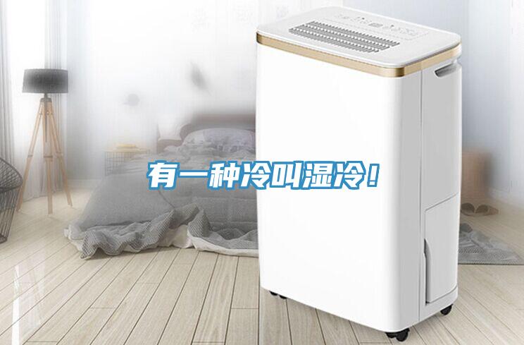 有一种冷叫湿冷！