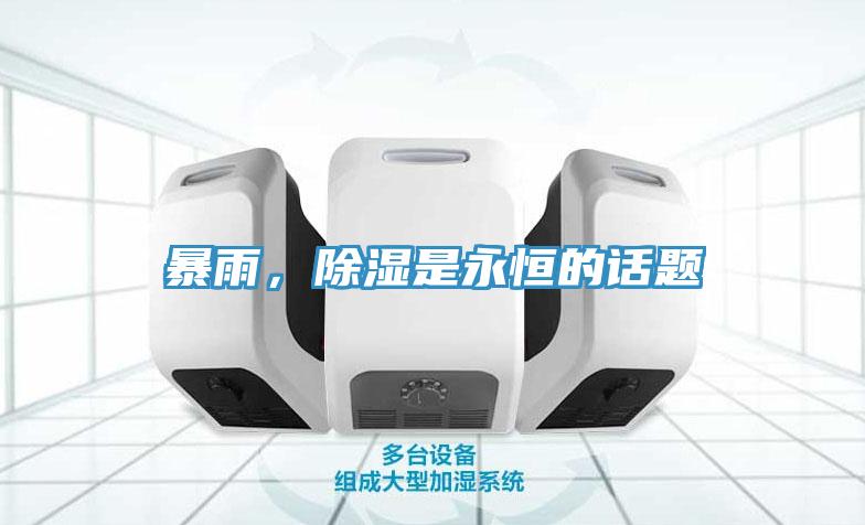 暴雨，除湿是永恒的话题