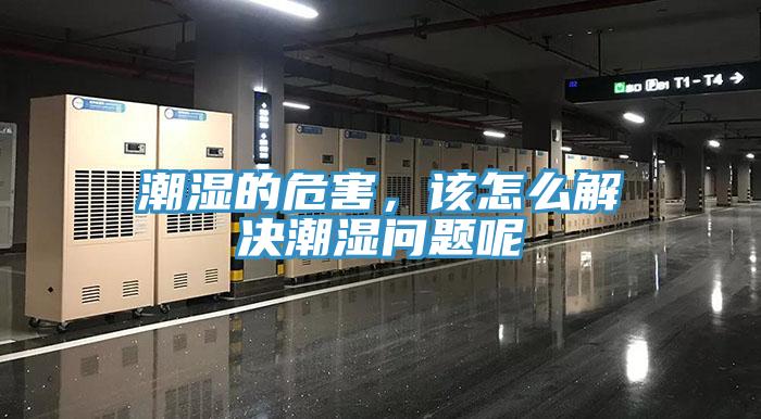 潮湿的危害，该怎么解决潮湿问题呢