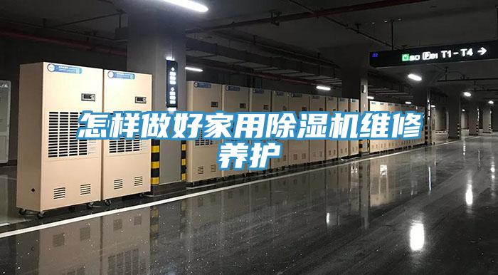 怎样做好家用猫咪成人官网维修养护