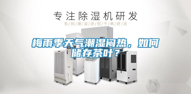 梅雨季天气潮湿闷热，如何储存茶叶？