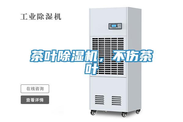 茶叶猫咪成人官网，不伤茶叶
