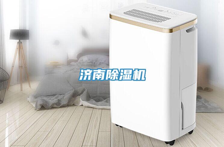 济南猫咪成人官网