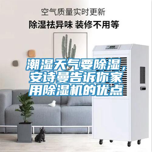 潮湿天气要除湿，猫咪成人在线视频告诉你家用猫咪成人官网的优点