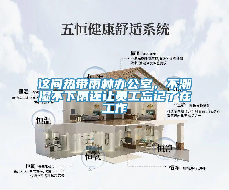 这间热带雨林办公室，不潮湿不下雨还让员工忘记了在工作