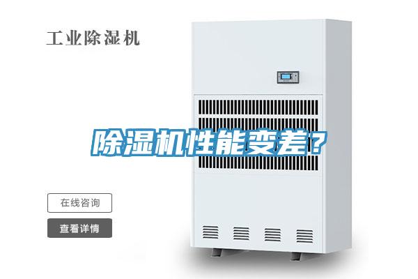 猫咪成人官网性能变差？