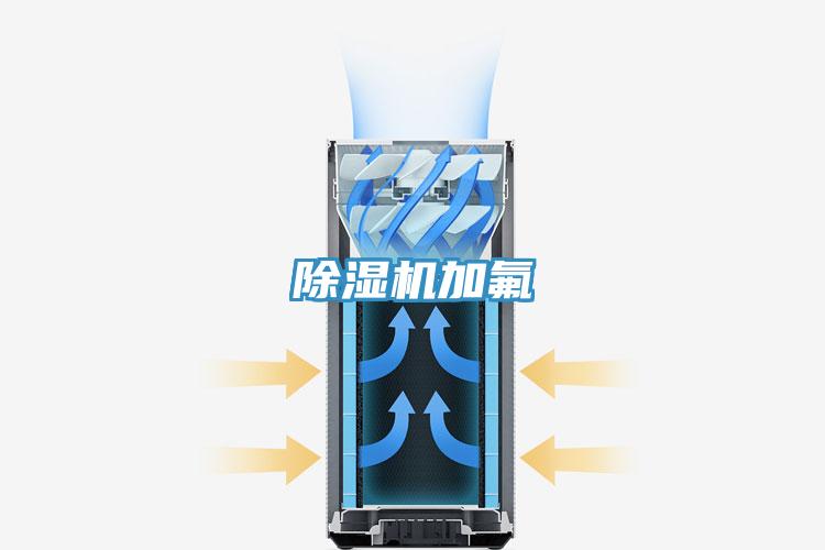 猫咪成人官网加氟