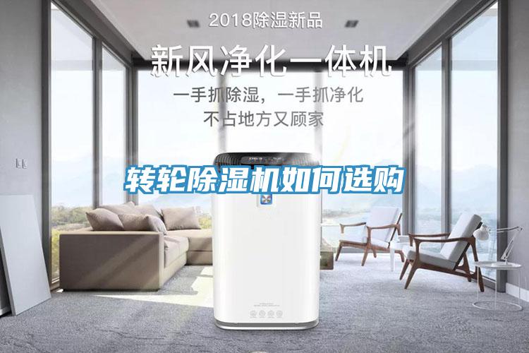 转轮猫咪成人官网如何选购