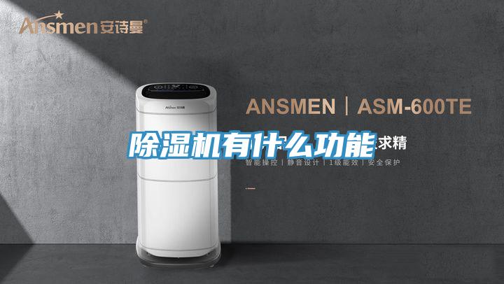 猫咪成人官网有什么功能