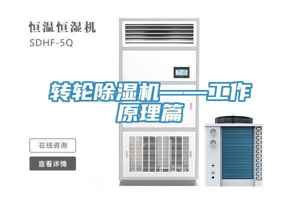 转轮猫咪成人官网——工作原理篇