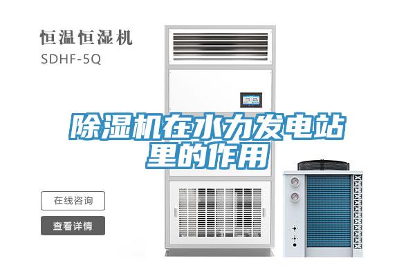 猫咪成人官网在水力发电站里的作用