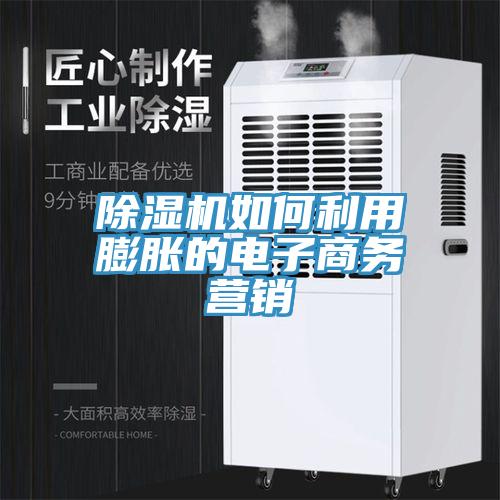 猫咪成人官网如何利用膨胀的电子商务营销