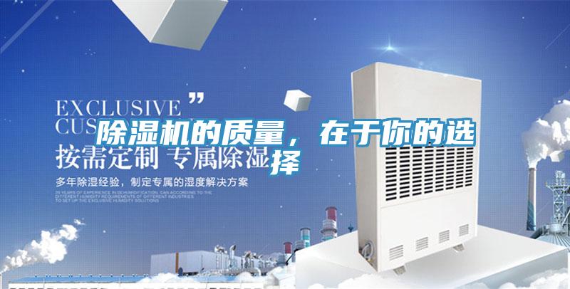 猫咪成人官网的质量，在于你的选择