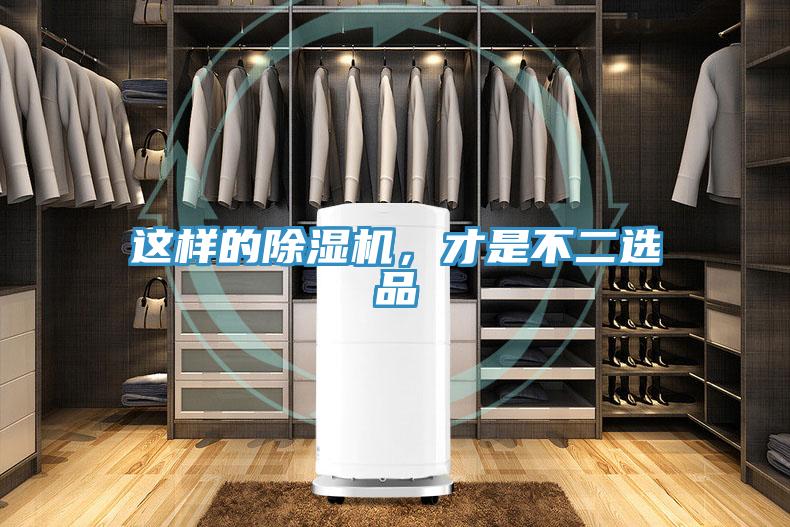 这样的猫咪成人官网，才是不二选品