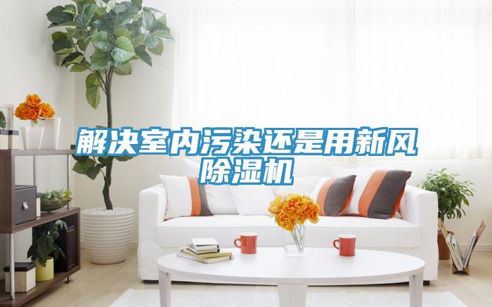 解决室内污染还是用新风猫咪成人官网