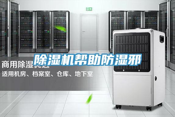 猫咪成人官网帮助防湿邪