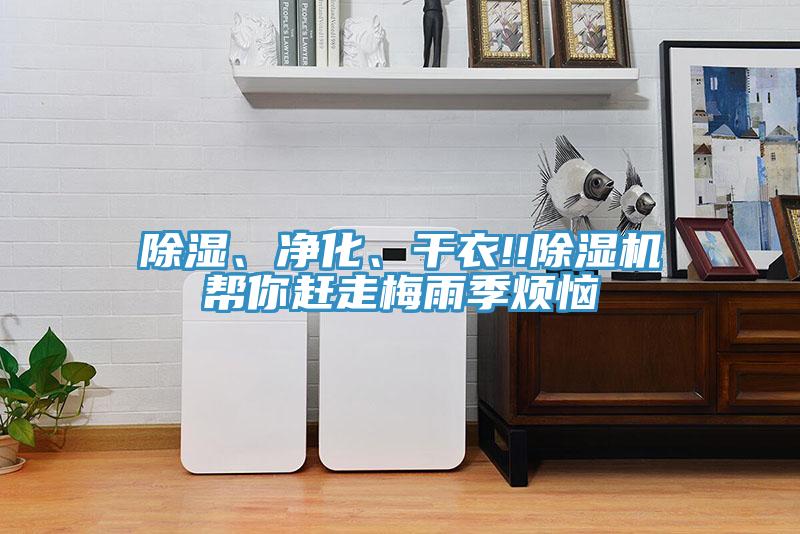 除湿、净化、干衣!!猫咪成人官网帮你赶走梅雨季烦恼