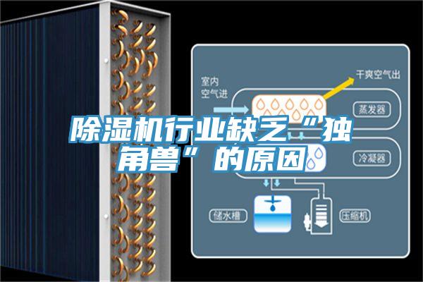 猫咪成人官网行业缺乏“独角兽”的原因