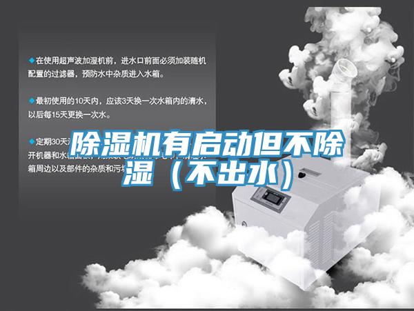 猫咪成人官网有启动但不除湿（不出水）