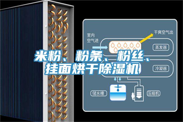 米粉、粉条、粉丝、挂面烘干猫咪成人官网