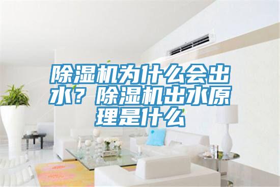 猫咪成人官网为什么会出水？猫咪成人官网出水原理是什么