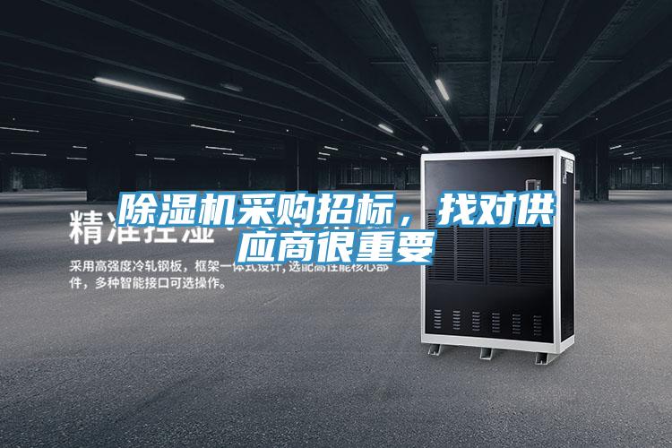 猫咪成人官网采购招标，找对供应商很重要