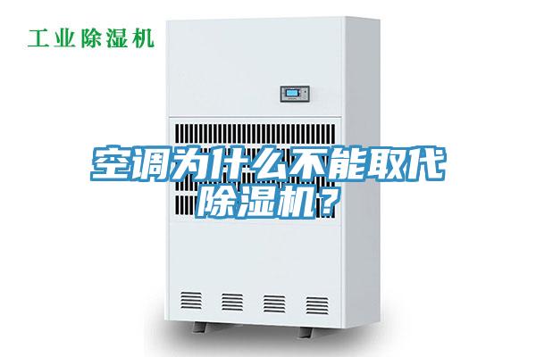 空调为什么不能取代猫咪成人官网？