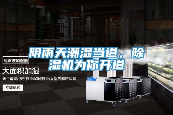 阴雨天潮湿当道，猫咪成人官网为你开道