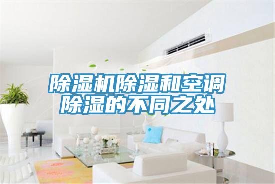 猫咪成人官网除湿和空调除湿的不同之处