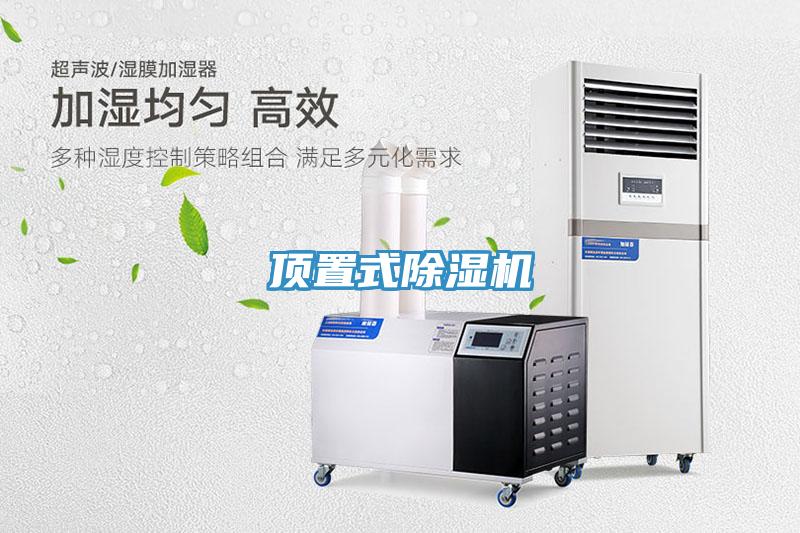 顶置式猫咪成人官网