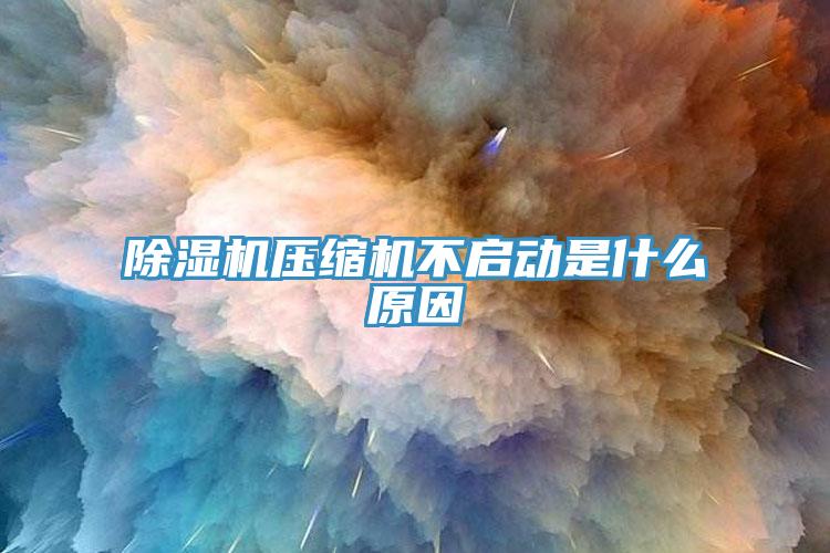 猫咪成人官网压缩机不启动是什么原因